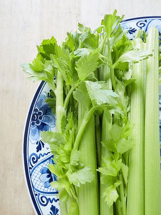 health-benefits-of-celery-juice-288409-1596063238653-main