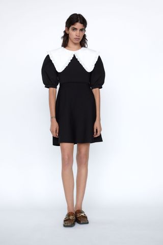 Zara + Knit Dress With Contrast Collar