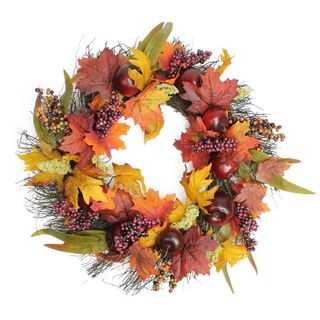 Northlight + 22-Inch Autumn Harvest Apple Berry and Leaf Artificial Thanksgiving Floral Wreath