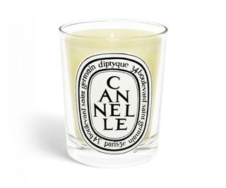 Diptyque + Cannelle Candle