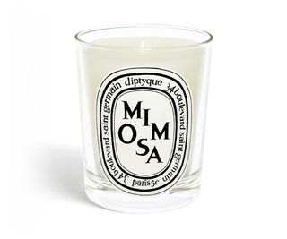 Diptyque + Mimosa Candle