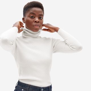 Everlane + The Italian Merino Rib Turtleneck