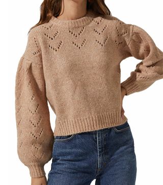 Astr the Label + Pointelle Puff Sleeve Sweater