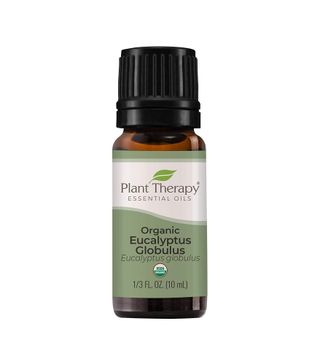 Plant Therapy + Organic Eucalyptus Globulus Essential Oil
