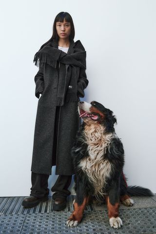Zara + Tailored Wool Coat