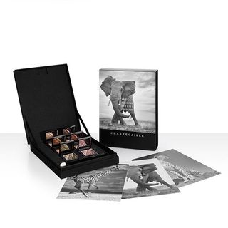 Chantecaille + Africa's Vanishing Species Collection