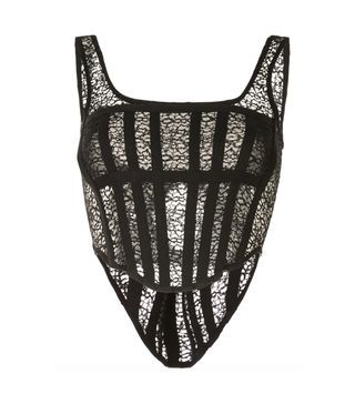 Dion Lee + Lace Coset Top