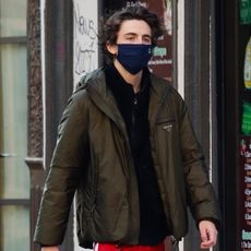 timothee-chalamet-street-style-290817-1607989100572-square
