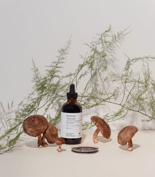 The Well + Immune Tincture