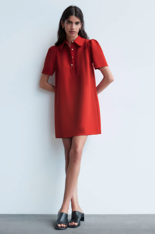 Zara + Pearl Button Mini Dress