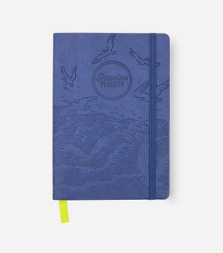 Passion Planner + Weekly 2021 Annual Pacific Blue