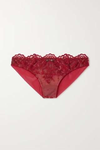 I.D. Sarrieri + Royal Jewel Embroidered Tulle and Stretch-Mesh Briefs