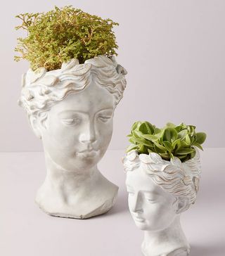 Anthropologie + Large Grecian Bust Pot