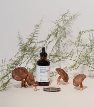 The Well + Immune Tincture