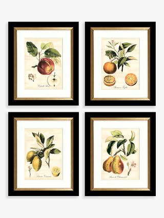 John Lewis & Partners + Tuscan Fruit Framed Prints & Mounts