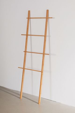 Urban Outfitters + Levy Storage Ladder