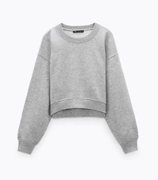 Zara + Basic Sweatshirt Trf