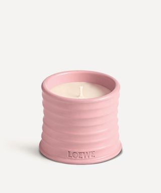 Loewe + Small Ivy Candle