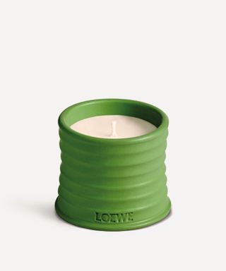 Loewe + Small Luscious Pea Candle