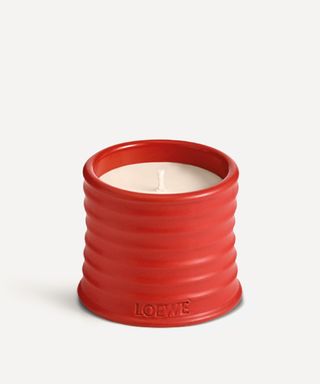 Loewe + Small Tomato Leaves Candle
