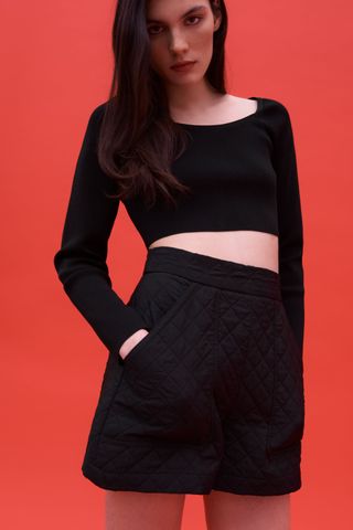 Zara + Knit Crop Top