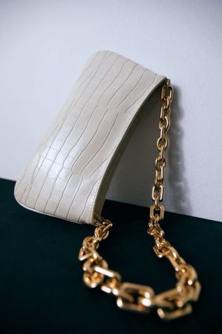 Zara + Chain Strap Animal Embossed Shoulder Bag