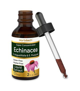 Horbäach + Echinacea Liquid Extract