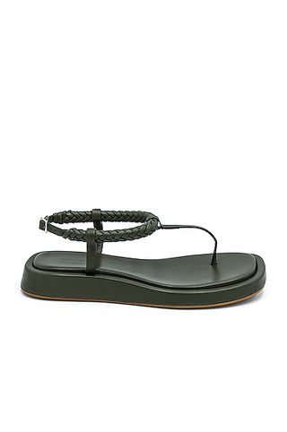 GIA/RHW + Flat Thong Sandal