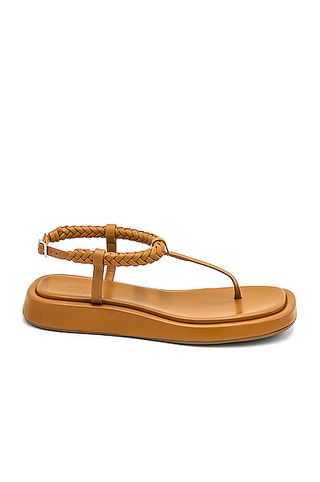 GIA/RHW + Flat Thong Sandal