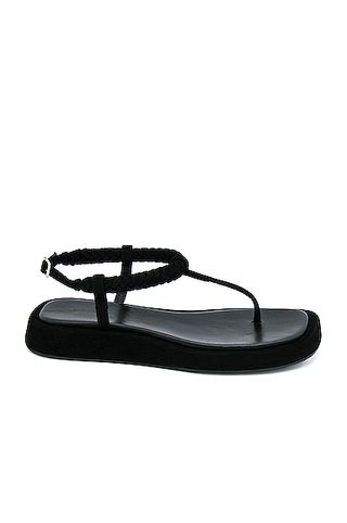 GIA/RHW + Flat Thong Suede Sandal