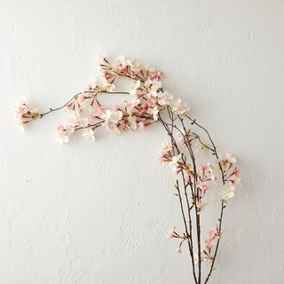 Terrain + Silk Cherry Blossom Spray