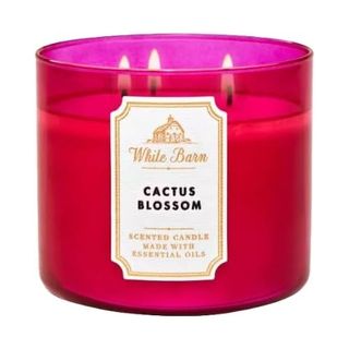 White Barn + Cactus Blossom Candle