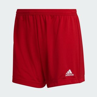 Adidas + Entrada 22 Shorts