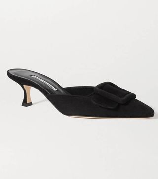 Manolo Blahnik + Maysale 50 Buckled Suede Mules