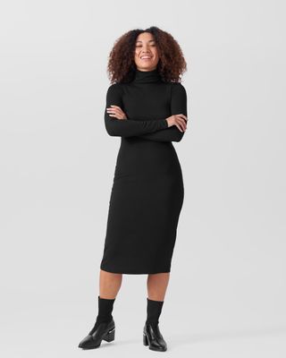 Universal Standard + Foundation Long Sleeve Turtleneck Dress