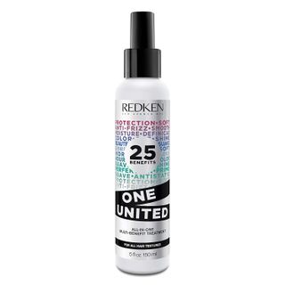 Redken + One United All-In-One Leave in Conditioner