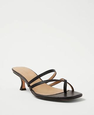 Ann Taylor + Strappy Leather Mule Sandals