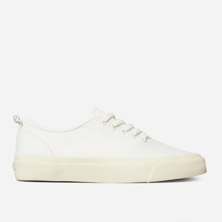 Everlane + The Forever Sneakers
