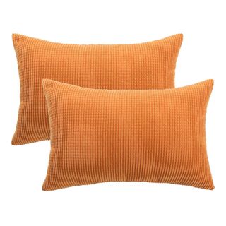 Unique Bargains + 2-Pack Pillows