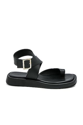 GIA/RHW + Flat Toe Ring Wrap Sandal