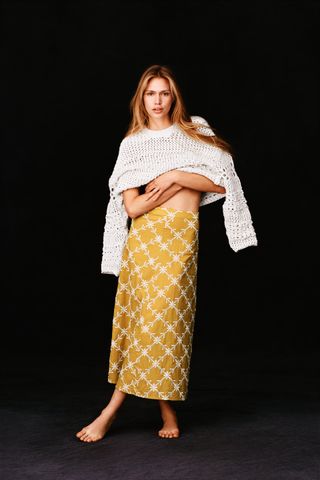 Zara + Embroidered A-Line Skirt