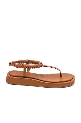 GA/RHW + Flat Thong Sandals