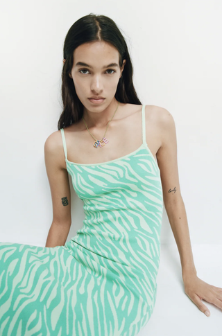 Zara + Animal Jacquard Knit Dress