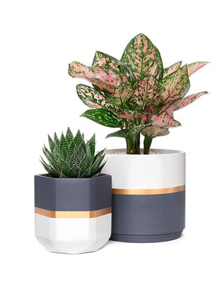 Mkono + 5 and 6.3 Inch Indoor Modern Flower Plant Pot Set of 2