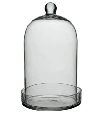 J-Line + Bell Jar With Saucer