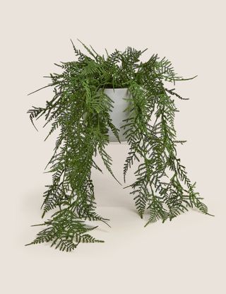 Marks & Spencer + Artificial Trailing Asparagus Fern In Pot