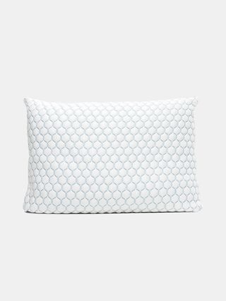 Molecule + Infinity Pro Adjustable Foam Pillow