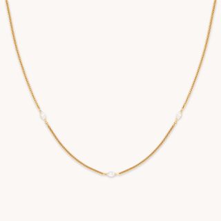 Astrid & Miyu + Navette Crystal Necklace in Gold