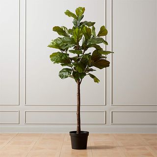 CB2 + Faux Potted Fiddle Leaf Fig 7'