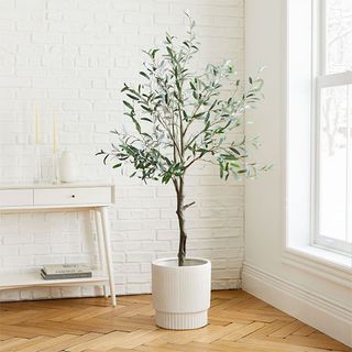 West Elm + Faux Olive Tree & Large White Fluted Planter Set
